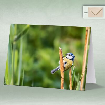 Greeting card, double card 8104