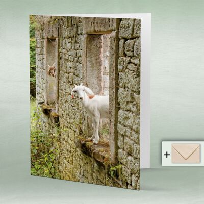 Greeting card, double card 8047