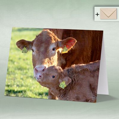 Greeting card, double card 8129