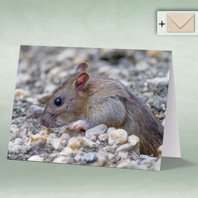Greeting card, double card 8072