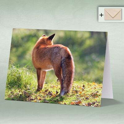 Greeting card, double card 8054