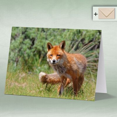 Greeting card, Doppelkarte 8098