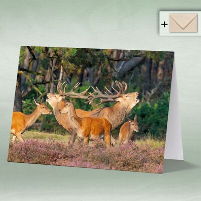 Greeting card, Doppelkarte 8095