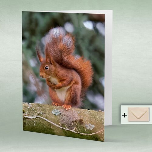 Greeting card, Doppelkarte 8055