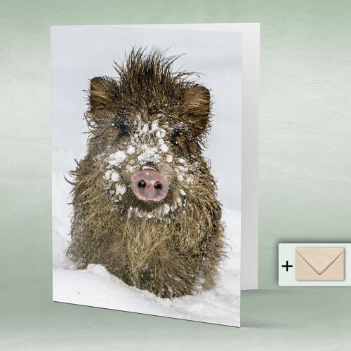 Greeting card, Doppelkarte 8019