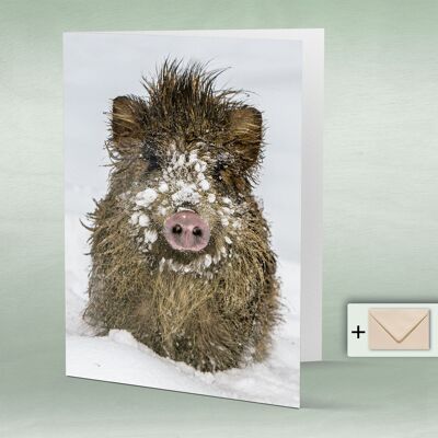 Greeting card, double card 8019