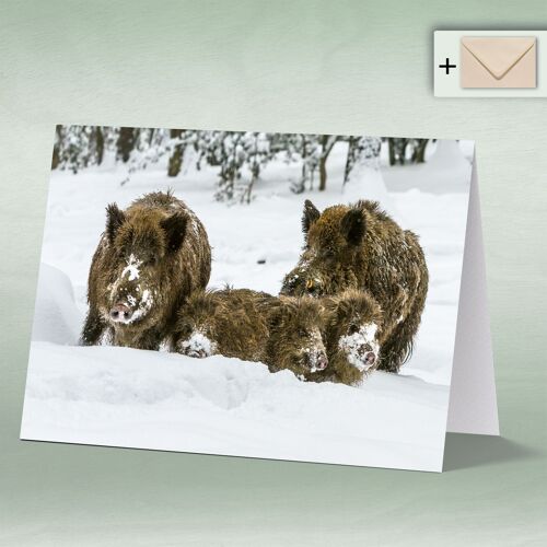 Greeting card, Doppelkarte 8137