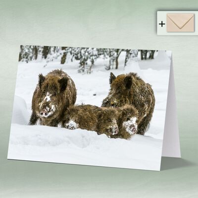 Greeting card, double card 8137