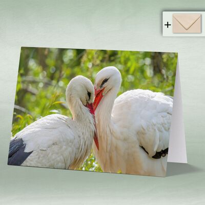 Greeting card, double card 8023
