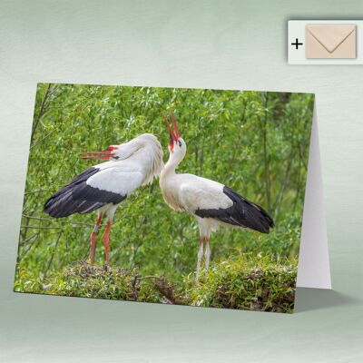 Greeting card, double card 8024