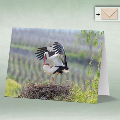 Greeting card, double card 8026
