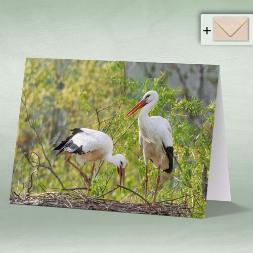 Greeting card, Doppelkarte 8027