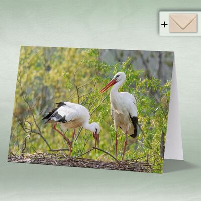 Greeting card, double card 8027