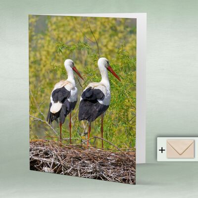 Greeting card, double card 8029