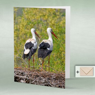 Greeting card, Doppelkarte 8029