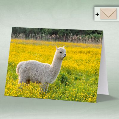 Greeting card, double card 8028
