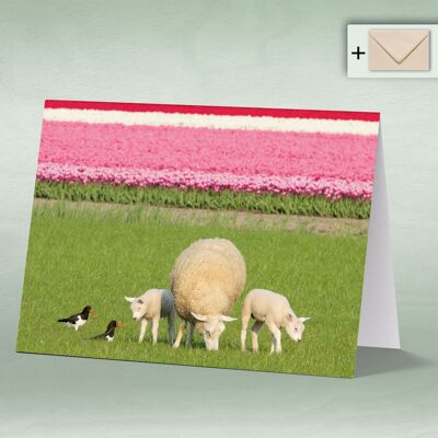 Greeting card, double card 0212