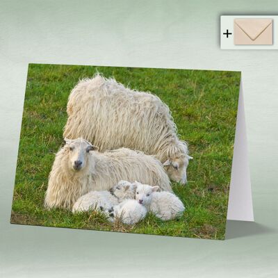 Greeting card, double card 0006