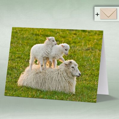 Greeting card, double card 0003