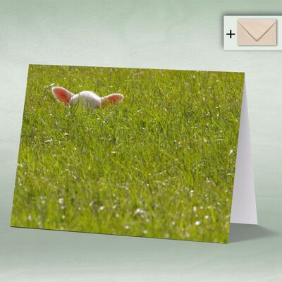 Greeting card, double card 0211