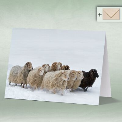 Greeting card, Doppelkarte 0001