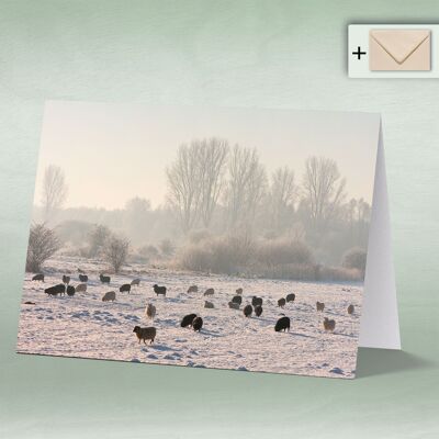 Greeting card, Doppelkarte 8016