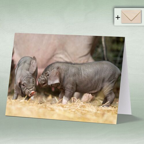 Greeting card, Doppelkarte 8017