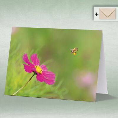 Greeting card, double card 8103