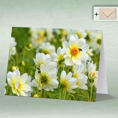 Greeting card, Doppelkarte 8138