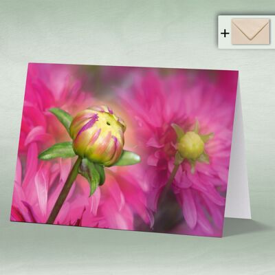 Greeting card, double card 0098