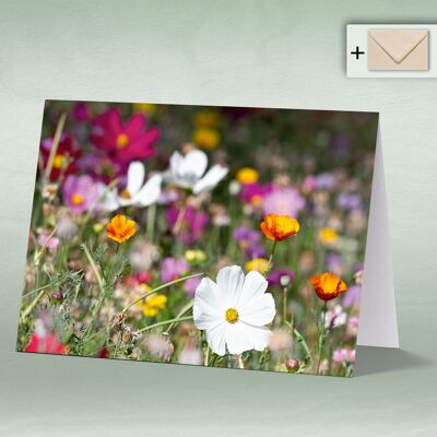 Greeting card, double card 8127