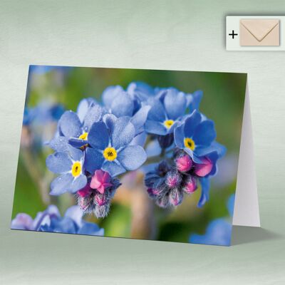 Greeting card, double card 8088
