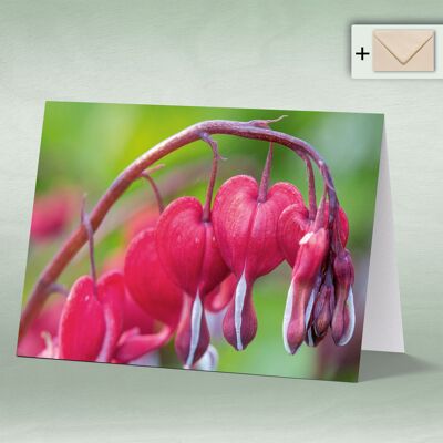 Greeting card, Doppelkarte 8090