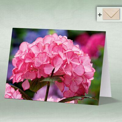 Greeting card, double card 8120