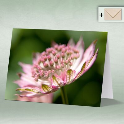 Greeting card, double card 8124