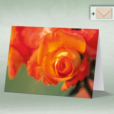 Greeting card, Doppelkarte 0004