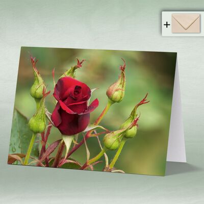 Greeting card, Doppelkarte 8001