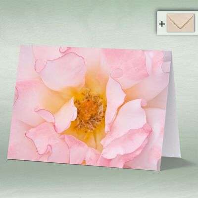 Greeting card, Doppelkarte 8035