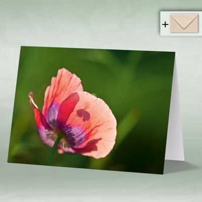 Greeting card, Doppelkarte 8046