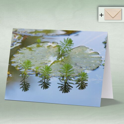 Greeting card, Doppelkarte 8007