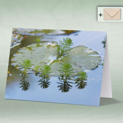 Greeting card, double card 8007