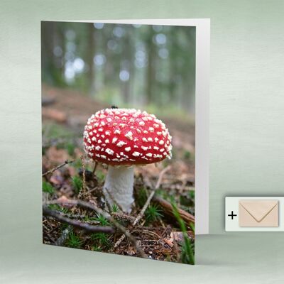 Greeting card, double card 8132