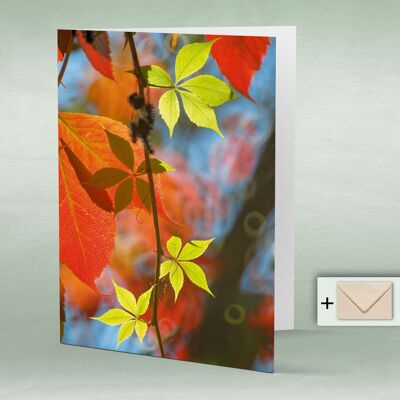 Greeting card, double card 8061