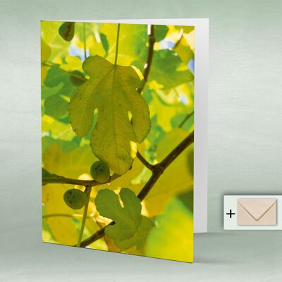 Greeting card, double card 8075