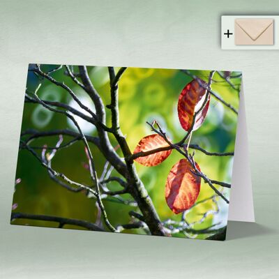 Greeting card, Doppelkarte 8105