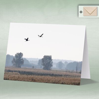 Greeting card, double card 8112