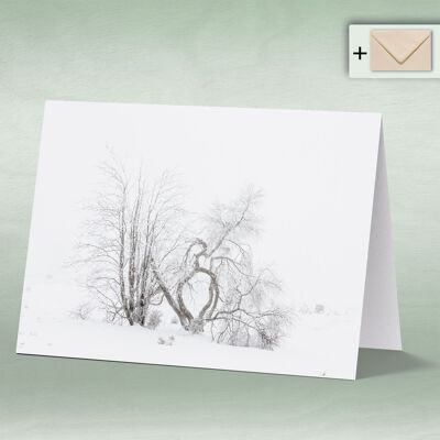 Greeting card, double card 8011