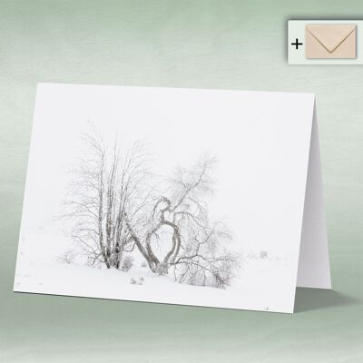 Greeting card, Doppelkarte 8011