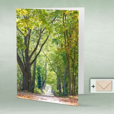 Greeting card, double card 8108
