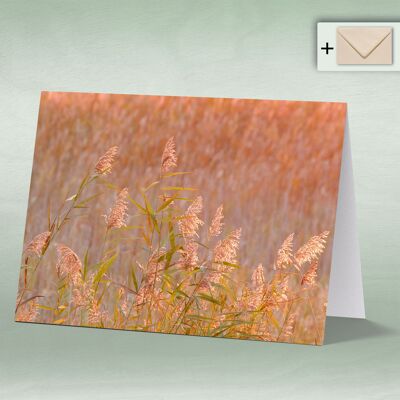 Greeting card, double card 8109